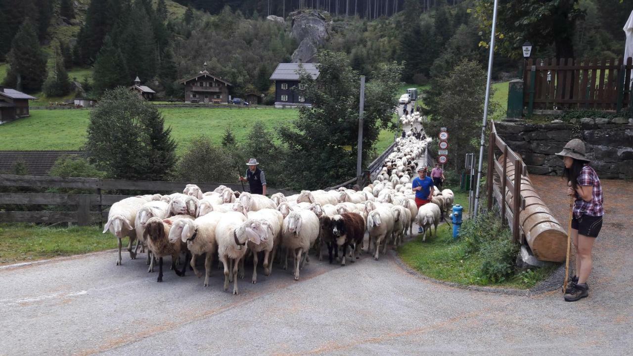 Fewo "Unterm Wald" Stumm Exterior foto